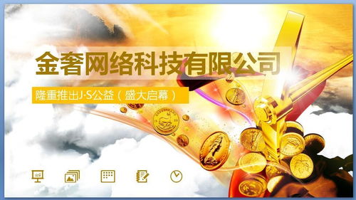 深圳市金奢网络科技